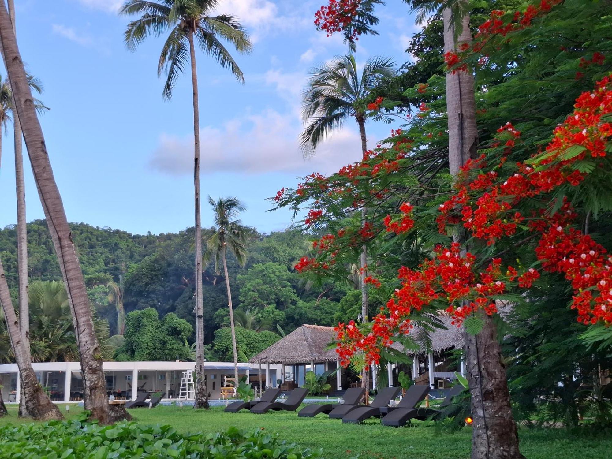 Bebeladan Beach Resort, In The Last Indigenous Corner El Nido Dış mekan fotoğraf